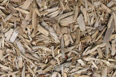 biomass boilers Wood Gate